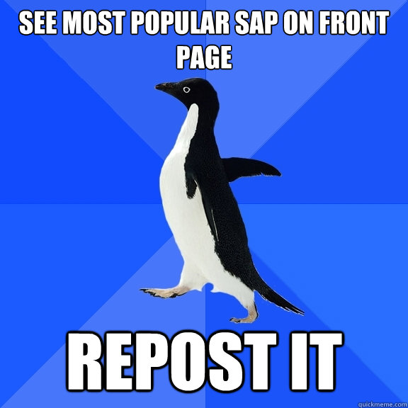 see most popular sap on front page repost it  Socially Awkward Penguin