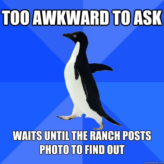 Too awkward to ask Waits until the ranch posts photo to find out  Socially Awkward Penguin