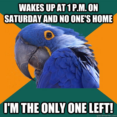 wakes up at 1 p.m. on saturday and no one's home I'm the only one left!  Paranoid Parrot