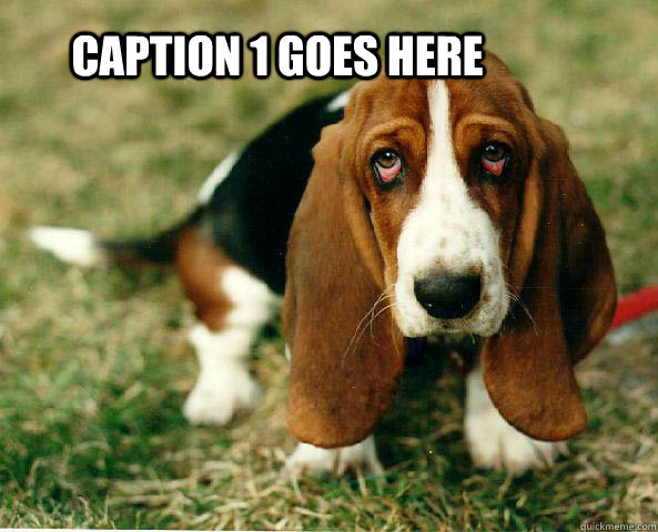 Caption 1 goes here  Basset Hound of guilt