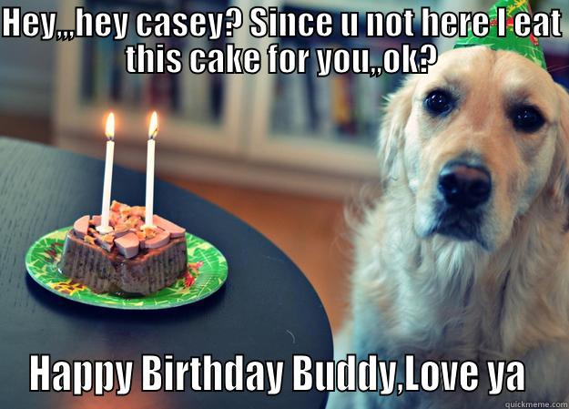 HEY,,,HEY CASEY? SINCE U NOT HERE I EAT THIS CAKE FOR YOU,,OK? HAPPY BIRTHDAY BUDDY,LOVE YA  Sad Birthday Dog
