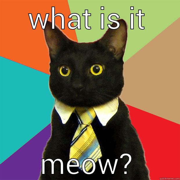 WHAT IS IT MEOW? Business Cat
