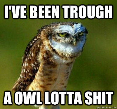 I've been trough a owl lotta shit - I've been trough a owl lotta shit  ass owl