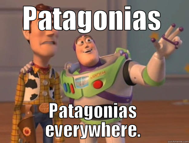 PATAGONIAS PATAGONIAS EVERYWHERE. Toy Story