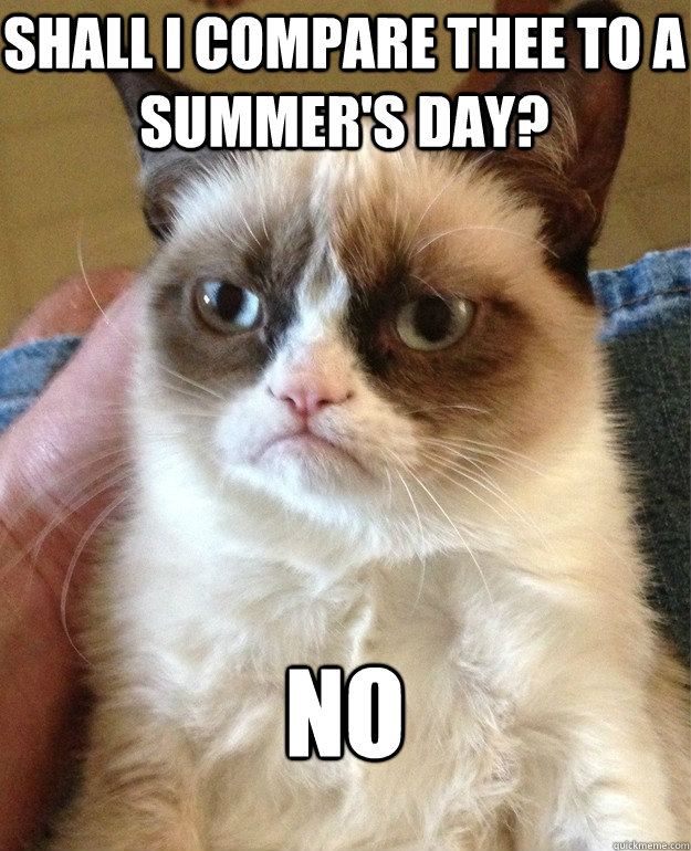 shall i compare thee to a summer's day? no - shall i compare thee to a summer's day? no  Grumpy Cat