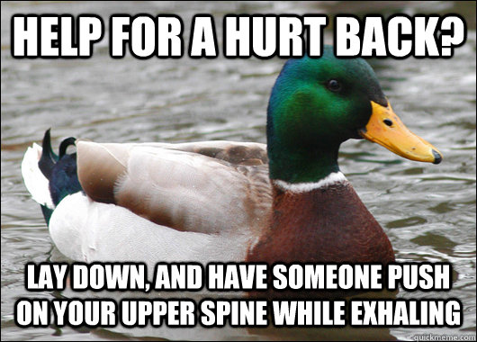 help for a hurt back? lay down, and Have someone push on your upper spine while exhaling  Actual Advice Mallard