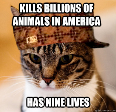 kills billions of animals in America has nine lives  Scumbag Cat