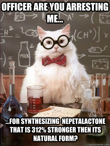 Officer are you arresting me...   ...for synthesizing  Nepetalactone that is 312% stronger then its natural form?   Chemistry Cat