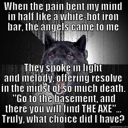 WHEN THE PAIN BENT MY MIND IN HALF LIKE A WHITE-HOT IRON BAR, THE ANGELS CAME TO ME THEY SPOKE IN LIGHT AND MELODY, OFFERING RESOLVE IN THE MIDST OF SO MUCH DEATH.  