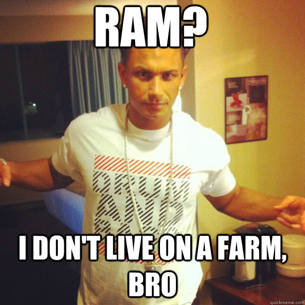 ram? i don't live on a farm, bro  Drum and Bass DJ Pauly D