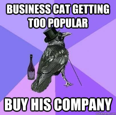 Business cat getting too popular Buy his company  Rich Raven
