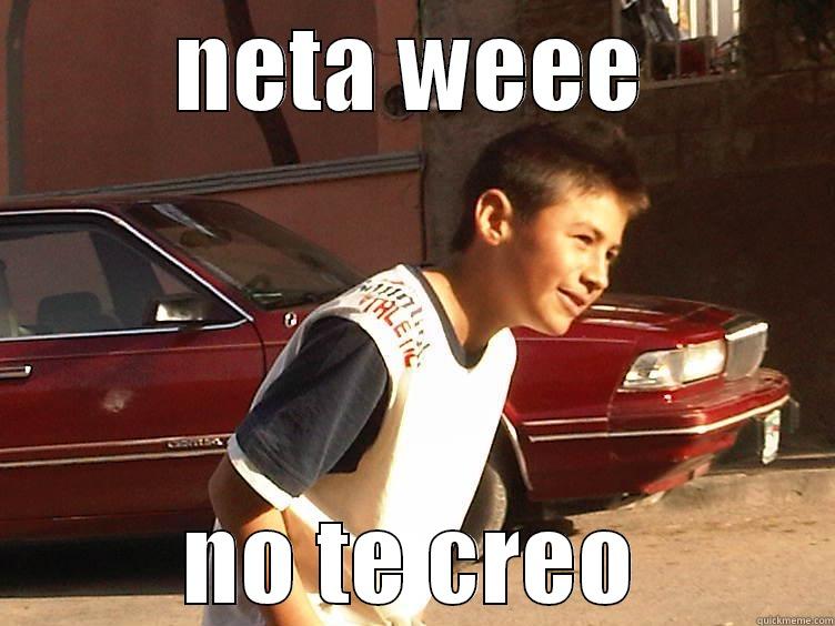 NETA WEEE NO TE CREO Misc