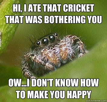 hi, i ate that cricket that was bothering you ow...i don't know how to make you happy - hi, i ate that cricket that was bothering you ow...i don't know how to make you happy  Misunderstood Spider