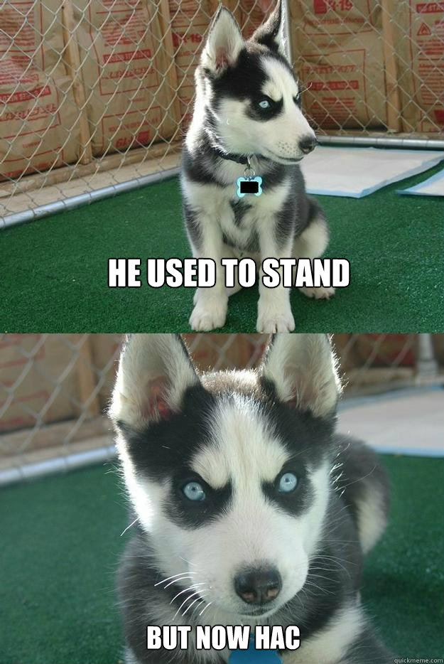 He used to stand But now HAC  Insanity puppy