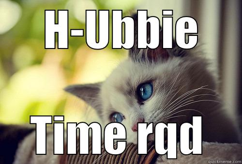  H-UBBIE TIME RQD First World Problems Cat