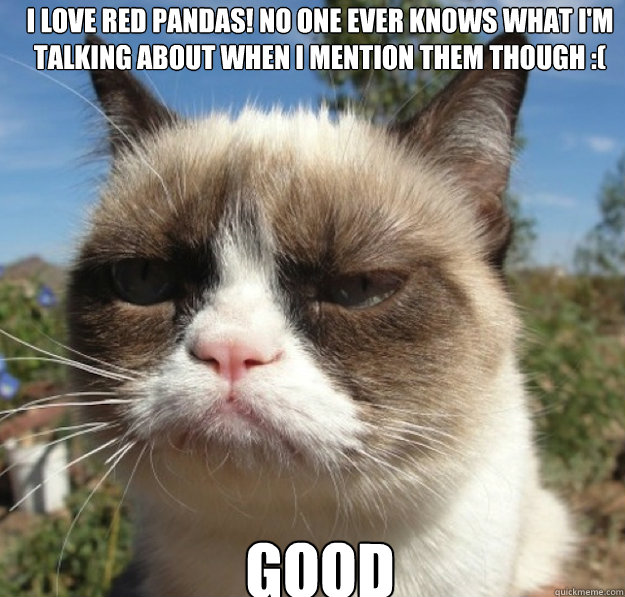 I love Red Pandas! No one ever knows what I'm talking about when I mention them though :( GOOD - I love Red Pandas! No one ever knows what I'm talking about when I mention them though :( GOOD  Misc