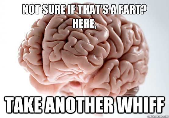 not sure if that's a fart? 
here, take another whiff - not sure if that's a fart? 
here, take another whiff  Scumbag brain on life