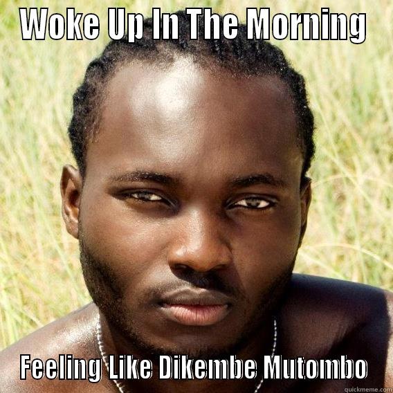 WOKE UP IN THE MORNING FEELING LIKE DIKEMBE MUTOMBO Misc