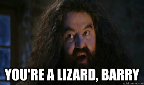  You're a lizard, barry  