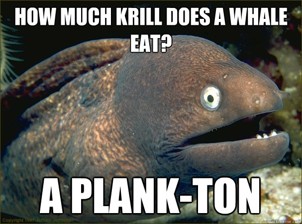How much krill does a whale eat? A plank-ton - How much krill does a whale eat? A plank-ton  Bad Joke Eel
