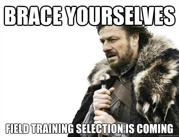 Brace yourselves Field Training Selection is coming  Brace Yourselves - Borimir