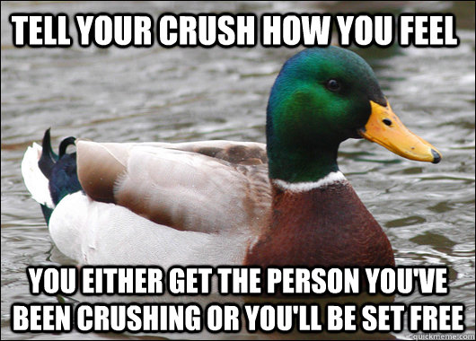 tell your crush how you feel you either get the person you've been crushing or you'll be set free  - tell your crush how you feel you either get the person you've been crushing or you'll be set free   Actual Advice Mallard