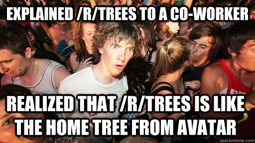 Explained /r/trees to a co-worker realized that /r/trees is like the home tree from avatar  Sudden Clarity Clarence
