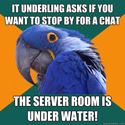 IT underling asks if you want to stop by for a chat The Server Room is Under Water!  Paranoid Parrot