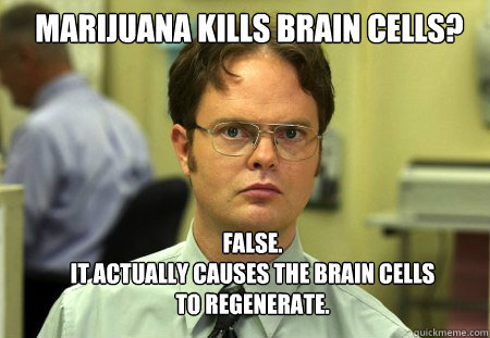 Marijuana kills brain cells? FALSE.  
It actually causes the brain cells to regenerate. - Marijuana kills brain cells? FALSE.  
It actually causes the brain cells to regenerate.  Schrute