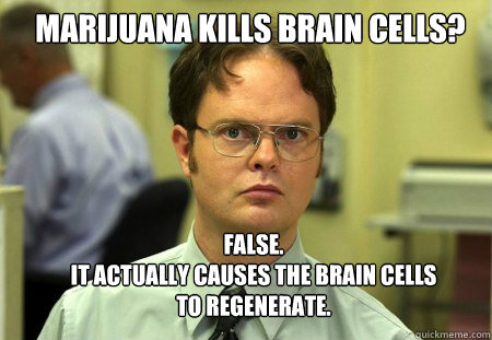 Marijuana kills brain cells? FALSE.  
It actually causes the brain cells to regenerate.  Schrute