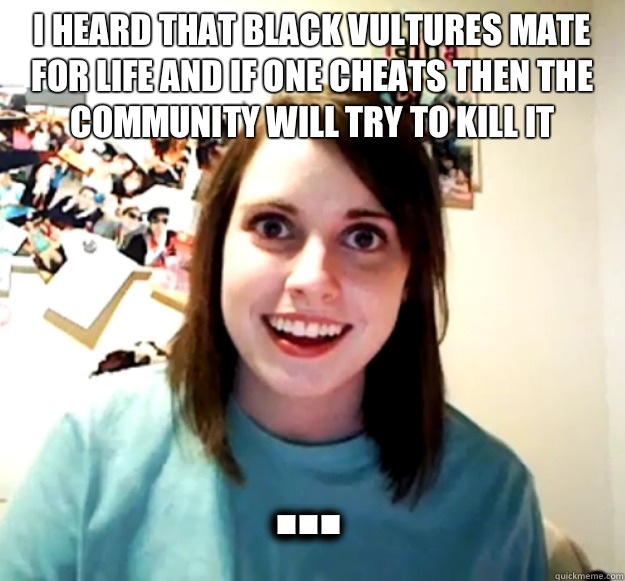 I heard that black vultures mate for life and if one cheats then the community will try to kill it ...  Overly Attached Girlfriend