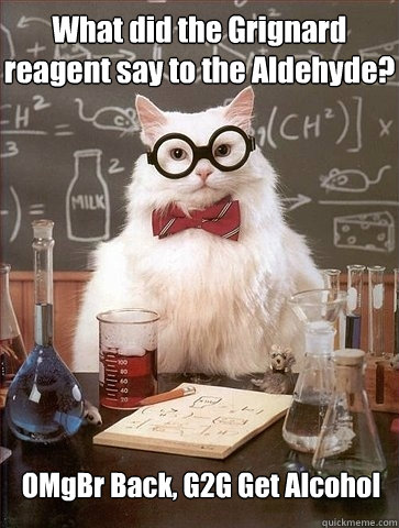 What did the Grignard reagent say to the Aldehyde? OMgBr Back, G2G Get Alcohol  Chemistry Cat