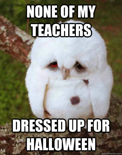 NONE OF MY TEACHERS DRESSED UP FOR HALLOWEEN   Depressed Baby Owl