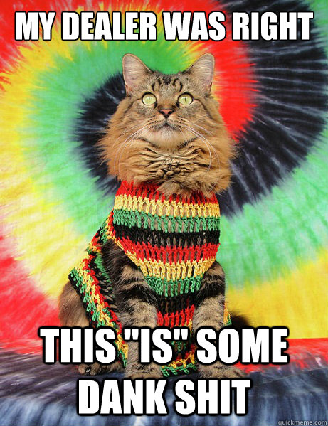 my dealer was right this 