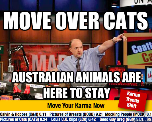 Move over Cats Australian animals are here to stay  Mad Karma with Jim Cramer