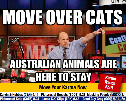 Move over Cats Australian animals are here to stay - Move over Cats Australian animals are here to stay  Mad Karma with Jim Cramer