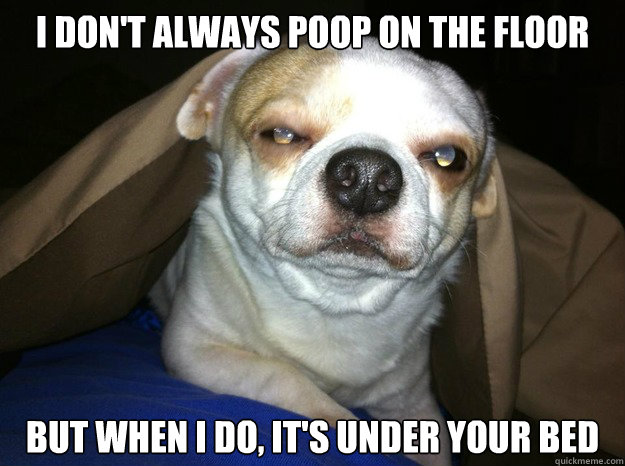 I don't always poop on the floor but when I do, it's under your bed  