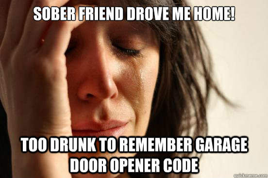 Sober friend drove me home! Too drunk to remember garage door opener code  First World Problems