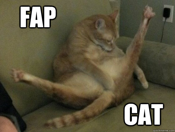 FAP CAT - FAP CAT  FAPCATOBESE