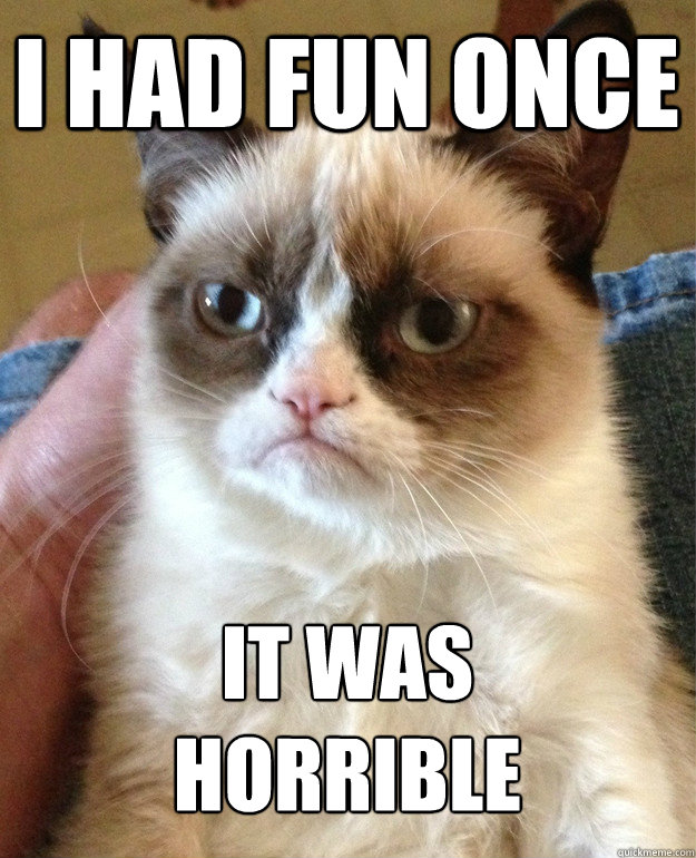 i had fun once it was
horrible  Grumpy Cat