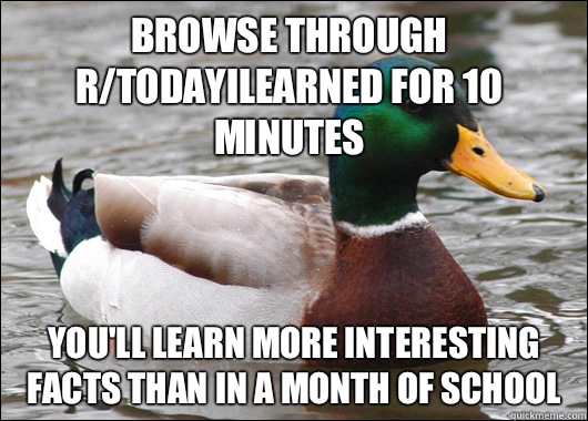 Browse through r/todayilearned for 10 minutes You'll learn more interesting facts than in a month of school  Actual Advice Mallard