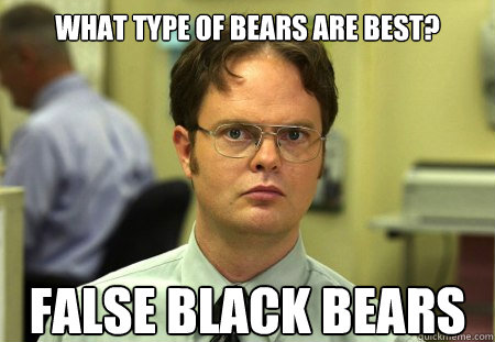 What type of bears are best? FALSE black bears - What type of bears are best? FALSE black bears  Dwight