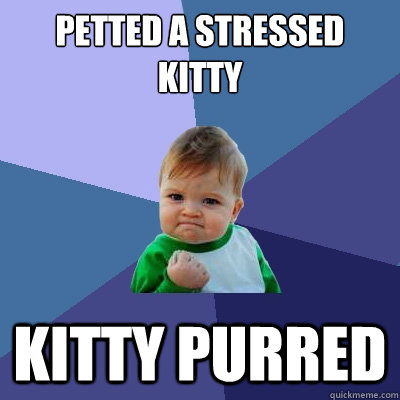 petted a stressed kitty kitty purred  Success Kid