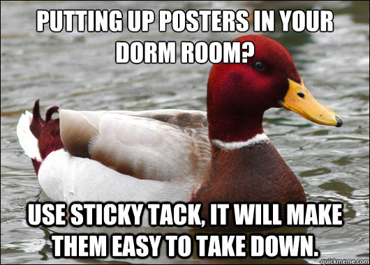 Putting up posters in your dorm room?
 Use sticky tack, it will make them easy to take down. - Putting up posters in your dorm room?
 Use sticky tack, it will make them easy to take down.  Malicious Advice Mallard