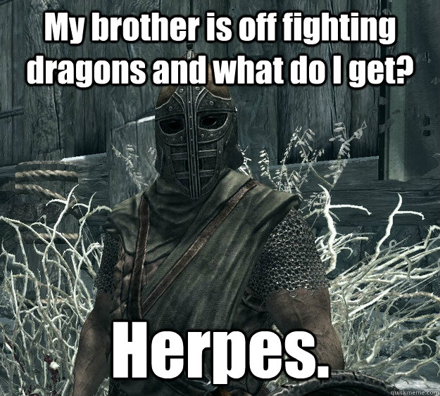 My brother is off fighting dragons and what do I get? Herpes.  Skyrim Guard