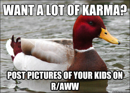 Want a lot of karma?
 post pictures of your kids on r/aww  Malicious Advice Mallard