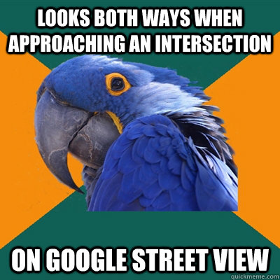 Looks both ways when approaching an intersection On google street view  Paranoid Parrot