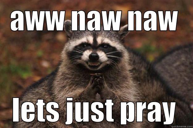 plz for prayer - AWW NAW NAW LETS JUST PRAY Evil Plotting Raccoon