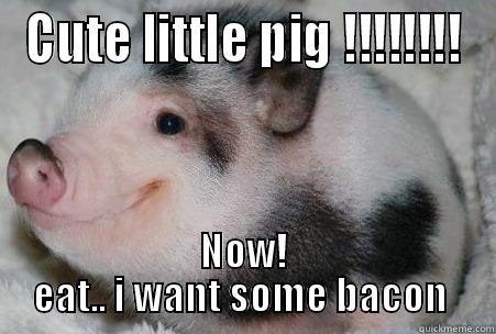 CUTE LITTLE PIG !!!!!!!! NOW! EAT.. I WANT SOME BACON  Misc