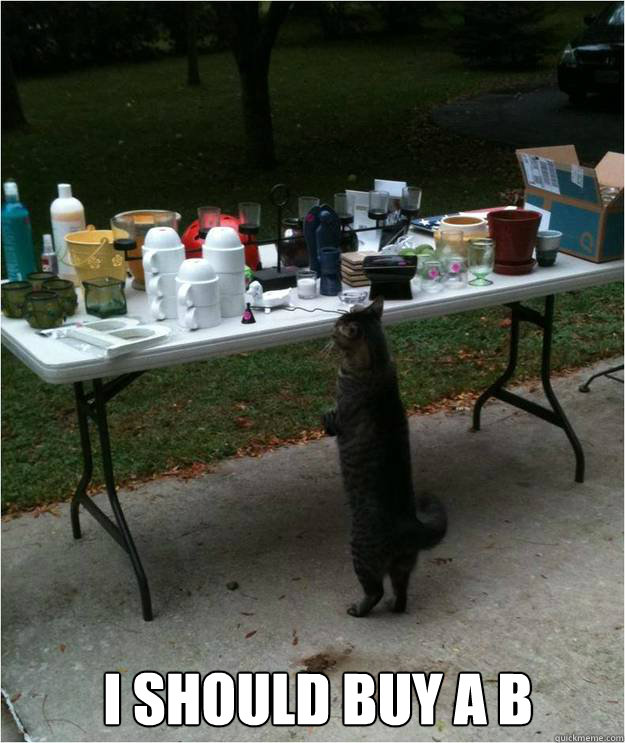  I should buy a B  Yard Sale Cat